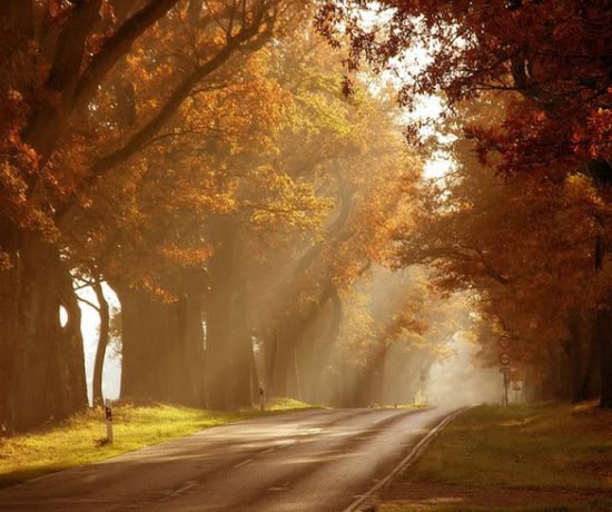 autumn-4